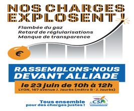 AFFICHE RASSEMBLEMENT ALLIADE